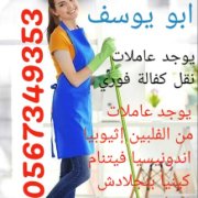 Abo youssef